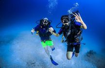 Discover Scuba Diving & Beach Club with Transportation In Riviera Maya 
