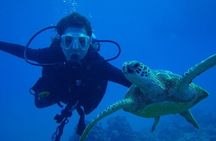 Scuba Referral Dives & Beach Club with Transportation In Riviera Maya