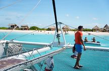 Klein Curacao Day Trip with Premium Open Bar and BBQ-Lunch