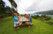Private Ohana Kohala Waterfalls Adventure 