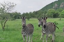 Shai Hills Half Day Accra Safari, Hike & see Animals 