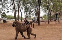 Shai Hills Half Day Accra Safari, Hike & see Animals 