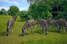Shai Hills Half Day Accra Safari, Hike & see Animals 