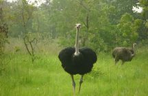 Shai Hills Half Day Accra Safari, Hike & see Animals 