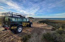 4 x 4 experience around Puerto Madryn