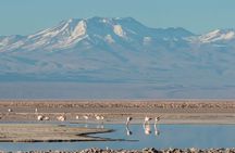 Full day tour to Piedras Rojas with Lunch