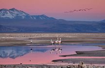 Full day tour to Piedras Rojas with Lunch