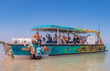 DINOSAUR ADVENTURE CRUISE - With Beachside Tapas and Cocktails