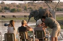 Full-Day Chobe Trip Botswana