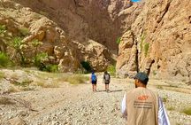 Full Day Tour in Wadi Shab
