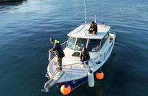 Excursion through the Beagle Channel on a Tango Yacht