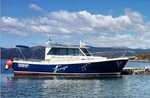 Excursion through the Beagle Channel on a Tango Yacht