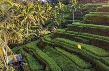 Ubud Hidden Waterfalls and Rice Terrace Tours