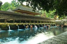 Ubud Monkey Forest, Holy Water Temple & Waterfalls Tours