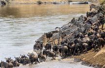 Serengeti Ngorongoro and Lake Manyara 4 Day Camping Tour