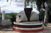 Private Olive Oil Tour from Sevilla