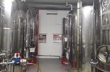 Private Olive Oil Tour from Sevilla
