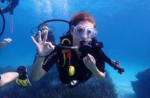 Mallorca: Try Scuba Diving in a Beautiful Nature Reserve