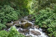 4-Day Private Natal Midlands Falls to Falls Tour
