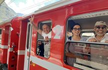 Intimate Small-Group Bernina UNESCO Scenic Train on Swiss Alps