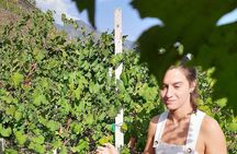 Lake Como & UNESCO Dry-stone Walls Vineyards