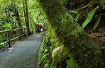 Explore Arenal: Volcano Hike, Bridges & La Fortuna Waterfall