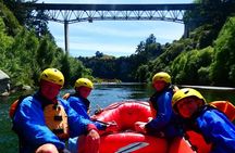 Shore Excursion: Scenic Rafting from Napier