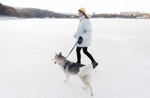 Rovaniemi's Magical Christmas Tour: Santa's Home