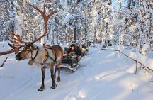 Rovaniemi's Magical Christmas Tour: Santa's Home