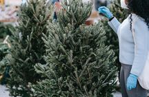 New York City's Private Iconic Christmas Tour