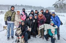 Ultimate Dog Sledding Tour