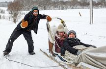 Ultimate Dog Sledding Tour