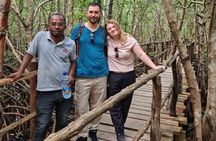 Jozani Forest Tour