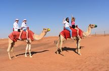 Dubai Red Dunes Camel Safari with Sand boarding, Dune Bashing & BBQ