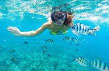  Marsa Alam: Hamata Islands Snorkeling Trip with Lunch & Transfer