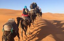 Best of Morocco in 7 days