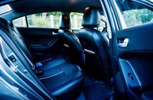 Private Transfer Aswan To Luxor with Stop Kom Ombo , Edfu temples