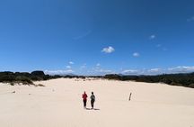 6-Day Tasmanian Explorer Adventure Tour from Hobart