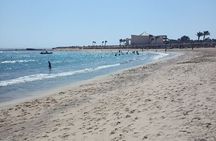 Snorkeling with Turtles - Experience in Abu Dabbab 