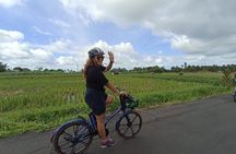 Electric bicycle tour in quaint South Ubud