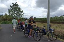 Electric bicycle tour in quaint South Ubud