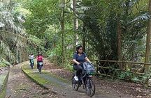 Electric bicycle tour in quaint South Ubud