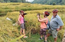 Electric bicycle tour in Jatiluwih UNESCO site
