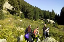 Half-Day Hiking with Private Mountain Guide in the Seven Rila Lakes