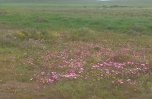South to North West Rural Tour 
