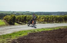 1 hour walk - The Gabarres river route