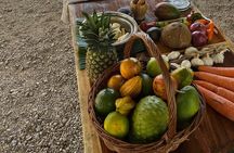 2-Hour Cooking Class in Nosara 
