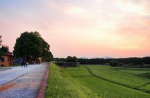 Sweet and salty Lucca by E-bike