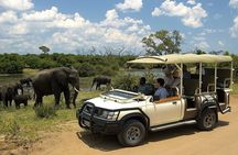 Boat Cruise And Game Drive in Chobe National Park 