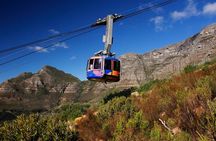 Cape Town Table Mountain Cape Point Penguins Full-Day Private Tour